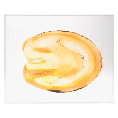 Scheibenplastinate Huf horizontal_1