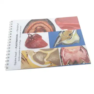 Guide Anatomie & Pathologie du Sabot_1