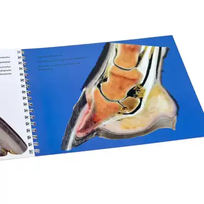 Guide Anatomie & Pathologie du Sabot_2