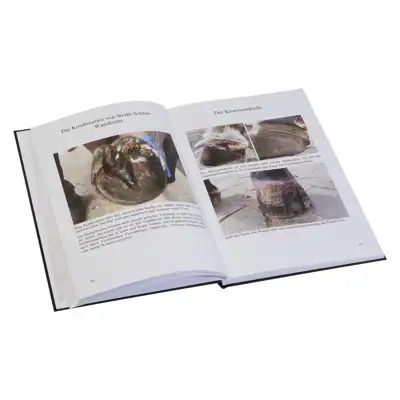 Livre 'Hufkrebs' - Uwe Lenz_3