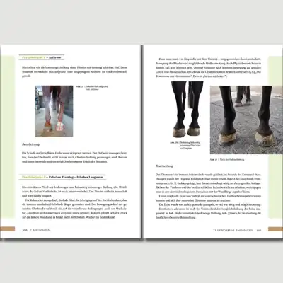 Livre 'Hufwerk' par Kati Jurth_5