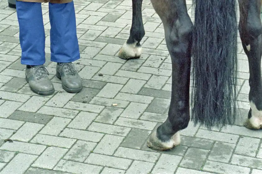 Bodenbeschaffenheit