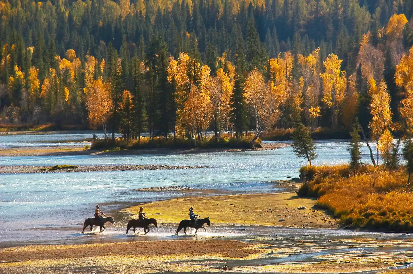 Mood image for acorn poisoning