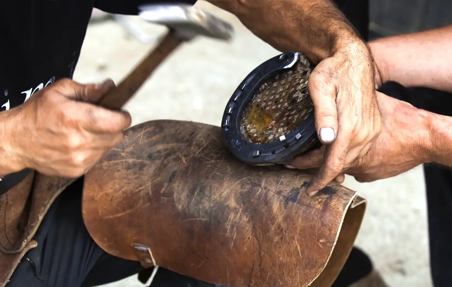 From Head to Toe: About Horseshoe Nails